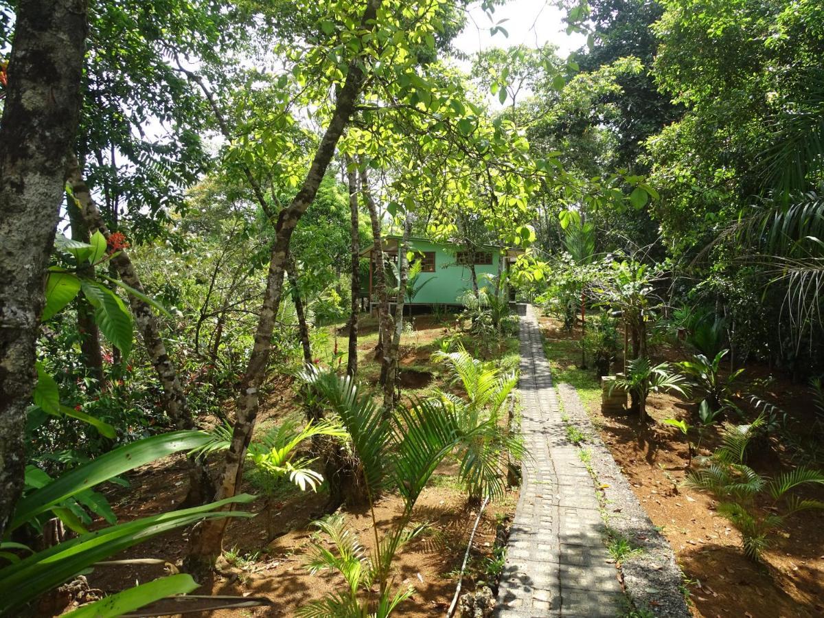 Hostel Casa Jade Drake Bay Zewnętrze zdjęcie