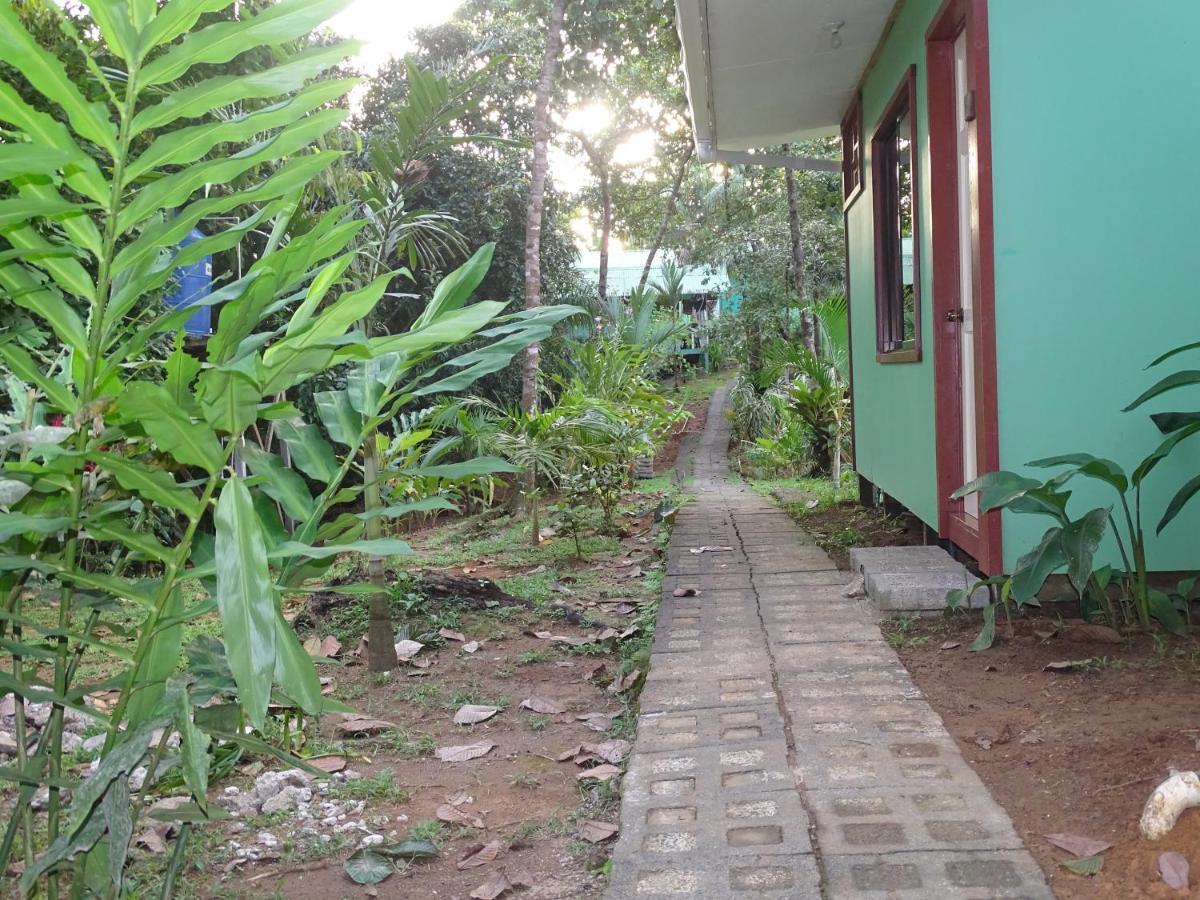Hostel Casa Jade Drake Bay Zewnętrze zdjęcie