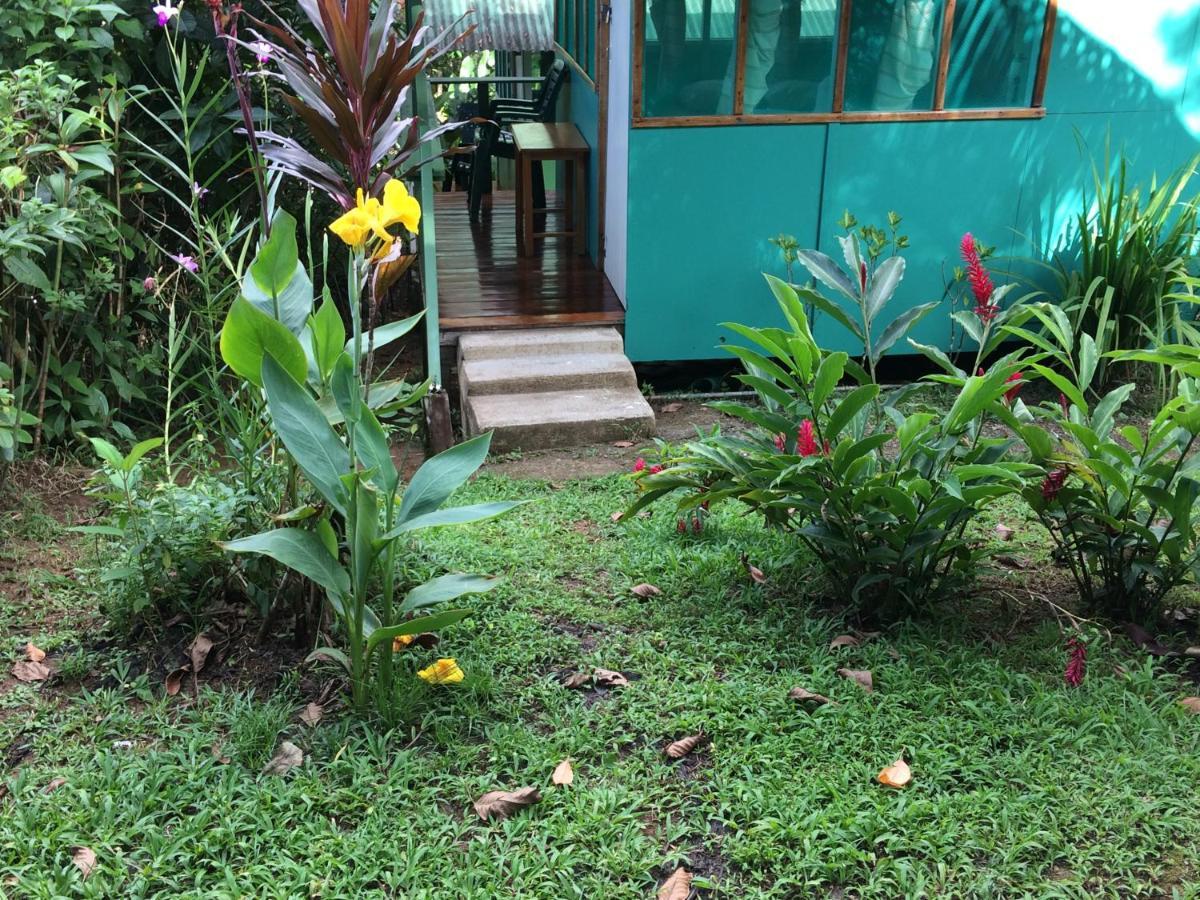 Hostel Casa Jade Drake Bay Zewnętrze zdjęcie