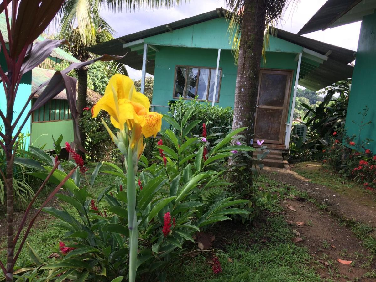 Hostel Casa Jade Drake Bay Zewnętrze zdjęcie