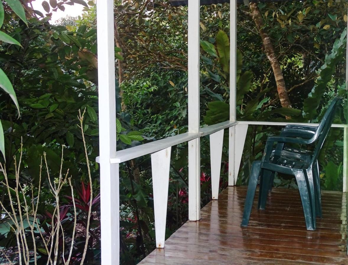 Hostel Casa Jade Drake Bay Zewnętrze zdjęcie