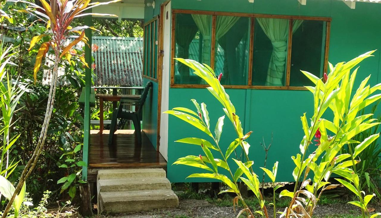 Hostel Casa Jade Drake Bay Zewnętrze zdjęcie
