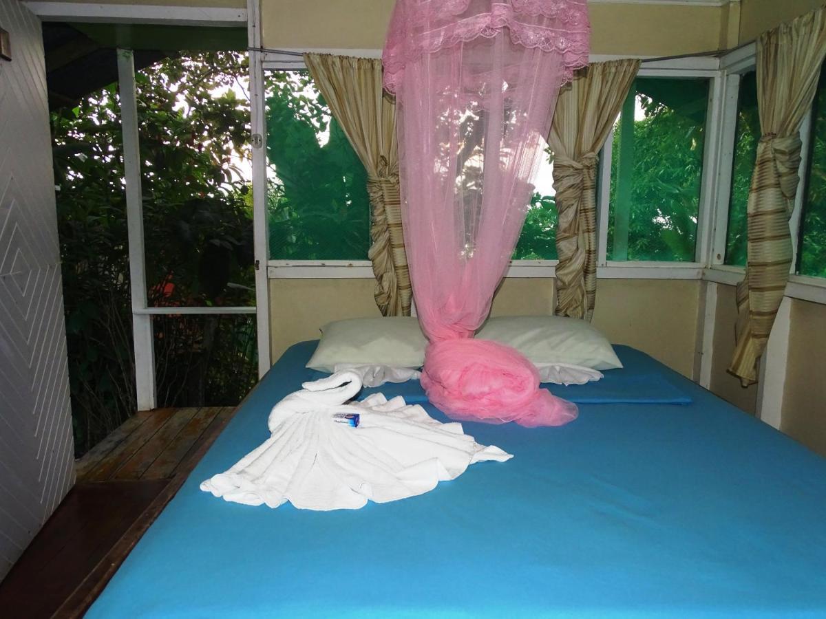 Hostel Casa Jade Drake Bay Zewnętrze zdjęcie