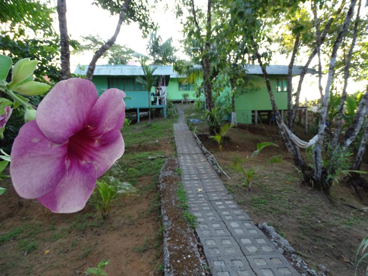 Hostel Casa Jade Drake Bay Zewnętrze zdjęcie