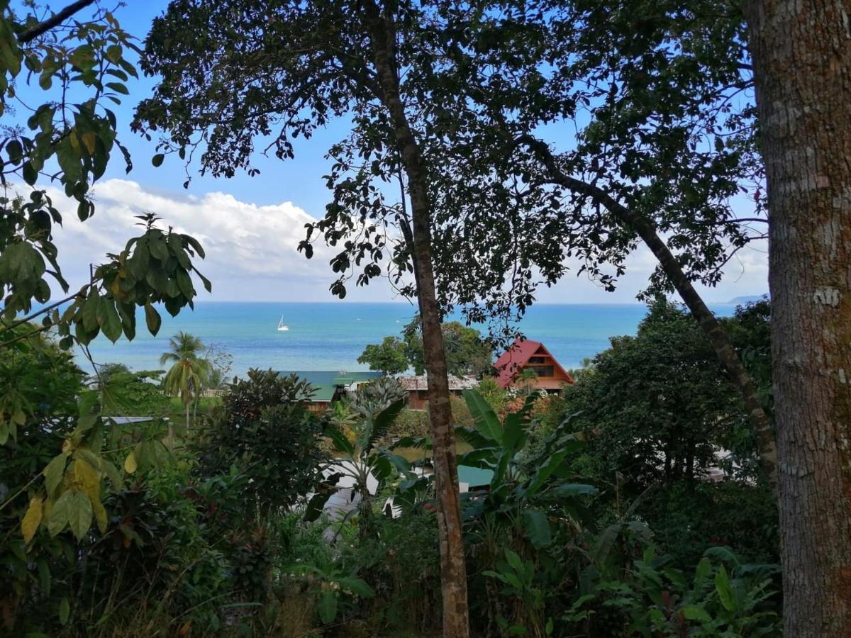 Hostel Casa Jade Drake Bay Zewnętrze zdjęcie